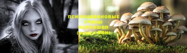 PSILOCYBIN Бронницы