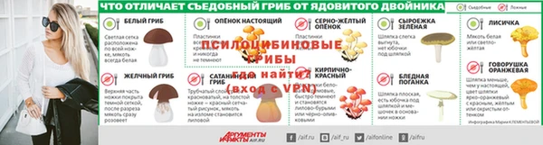 PSILOCYBIN Бронницы