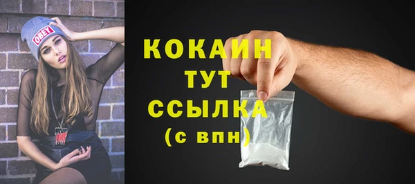 PSILOCYBIN Бронницы