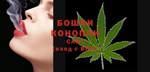 PSILOCYBIN Бронницы