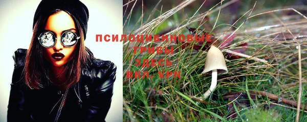 PSILOCYBIN Бронницы