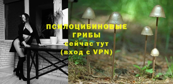 PSILOCYBIN Бронницы