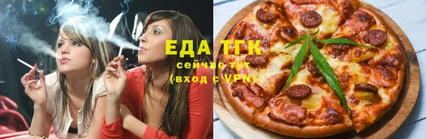 мдпв Бородино