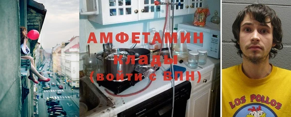 мдпв Бородино