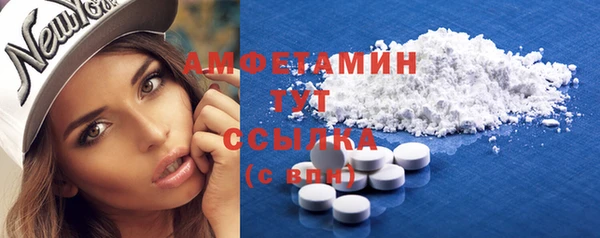 мдпв Бородино