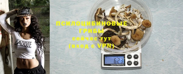 мдпв Бородино