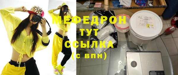 мдпв Бородино