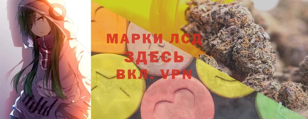 мдпв Бородино