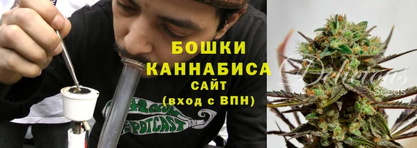 мдпв Бородино