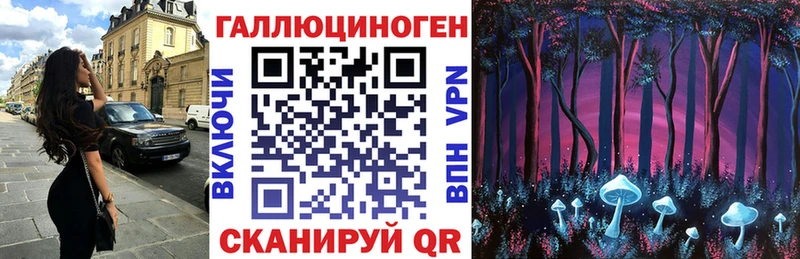 что такое   Подольск  Галлюциногенные грибы MAGIC MUSHROOMS 